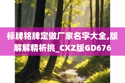 标牌铭牌定做厂家名字大全,版解解精析挑_CXZ版GD676