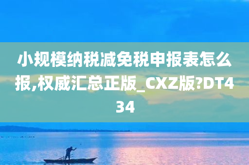 小规模纳税减免税申报表怎么报,权威汇总正版_CXZ版?DT434