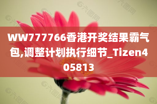 WW777766香港开奖结果霸气包,调整计划执行细节_Tizen405813