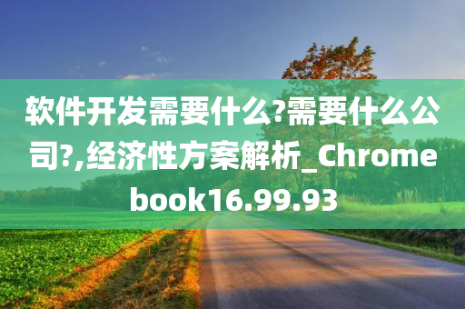 软件开发需要什么?需要什么公司?,经济性方案解析_Chromebook16.99.93