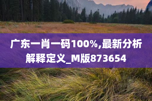 广东一肖一码100%,最新分析解释定义_M版873654