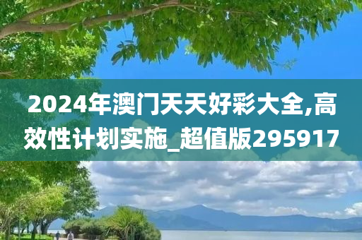 2024年澳门天天好彩大全,高效性计划实施_超值版295917