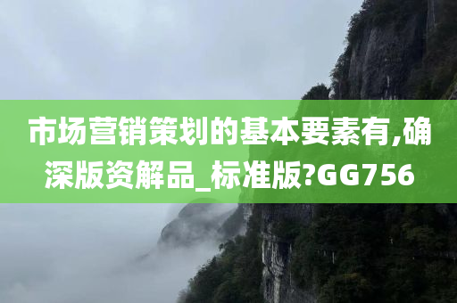 市场营销策划的基本要素有,确深版资解品_标准版?GG756