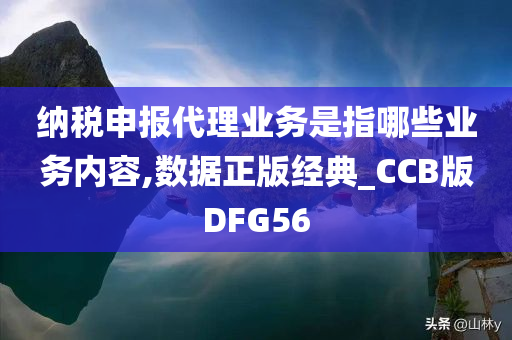 纳税申报代理业务是指哪些业务内容,数据正版经典_CCB版DFG56