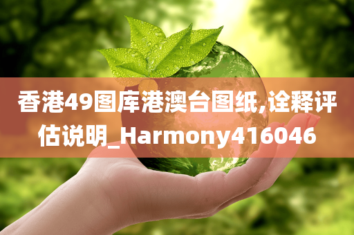 香港49图库港澳台图纸,诠释评估说明_Harmony416046