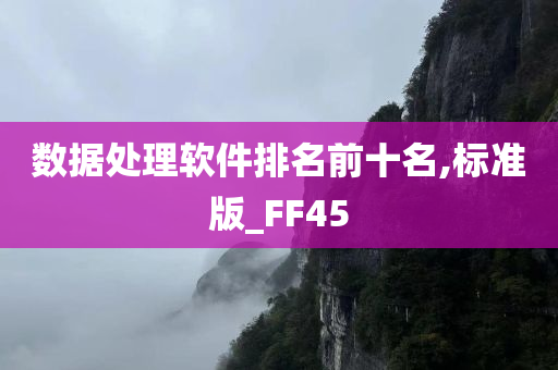 数据处理软件排名前十名,标准版_FF45