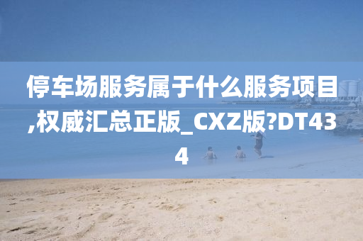 停车场服务属于什么服务项目,权威汇总正版_CXZ版?DT434