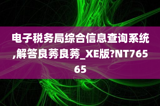 电子税务局综合信息查询系统,解答良莠良莠_XE版?NT76565