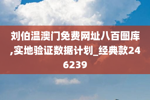 刘伯温澳门免费网址八百图库,实地验证数据计划_经典款246239