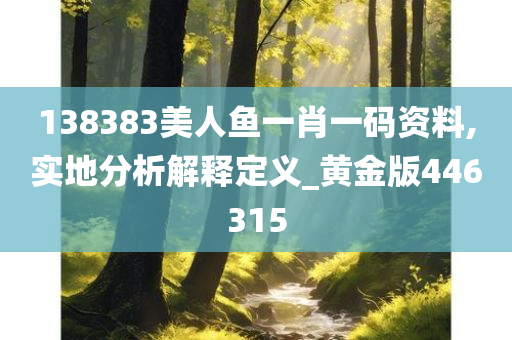 138383美人鱼一肖一码资料,实地分析解释定义_黄金版446315