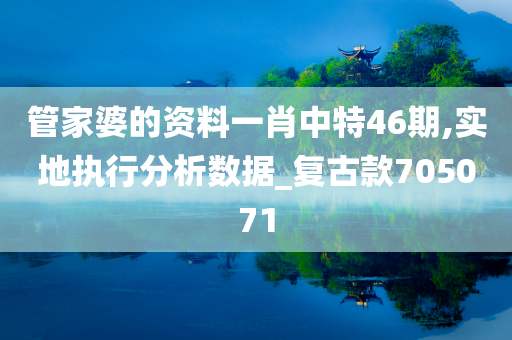 管家婆的资料一肖中特46期,实地执行分析数据_复古款705071