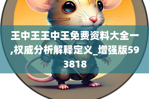 王中王王中王免费资料大全一,权威分析解释定义_增强版593818