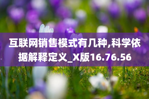 互联网销售模式有几种,科学依据解释定义_X版16.76.56