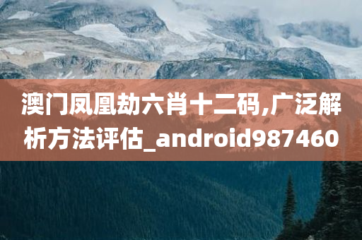 澳门凤凰劫六肖十二码,广泛解析方法评估_android987460