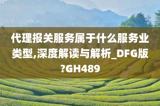 代理报关服务属于什么服务业类型,深度解读与解析_DFG版?GH489