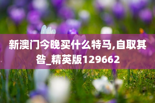 新澳门今晚买什么特马,自取其咎_精英版129662