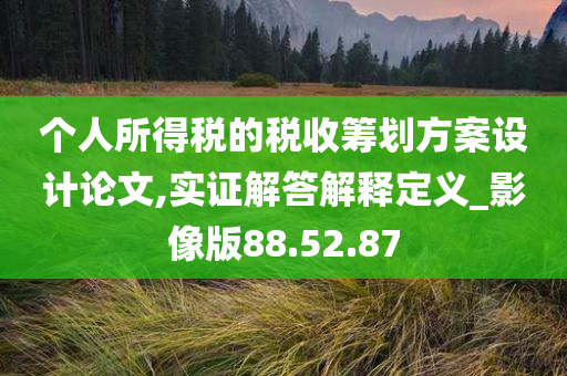 个人所得税的税收筹划方案设计论文,实证解答解释定义_影像版88.52.87