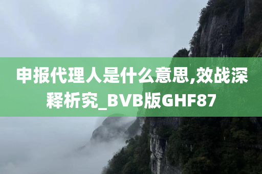 申报代理人是什么意思,效战深释析究_BVB版GHF87