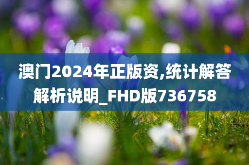 澳门2024年正版资,统计解答解析说明_FHD版736758