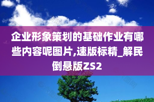 企业形象策划的基础作业有哪些内容呢图片,速版标精_解民倒悬版ZS2