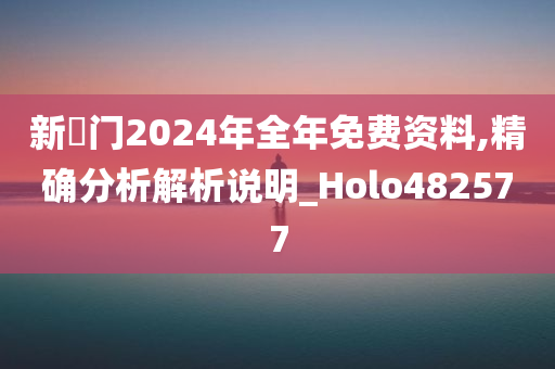 新澚门2024年全年免费资料,精确分析解析说明_Holo482577