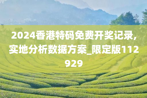 2024香港特码免费开奖记录,实地分析数据方案_限定版112929