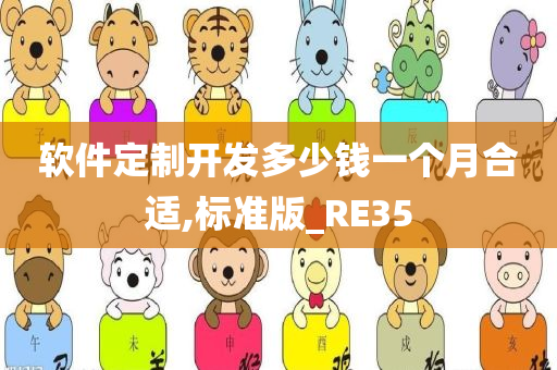 软件定制开发多少钱一个月合适,标准版_RE35