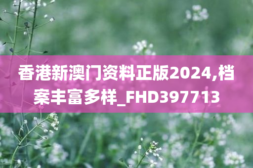 香港新澳门资料正版2024,档案丰富多样_FHD397713