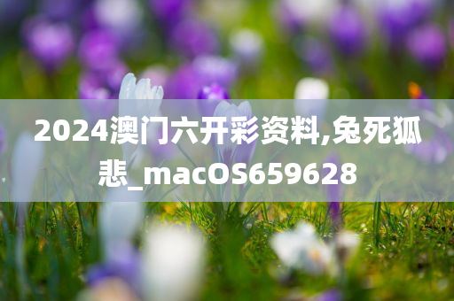 2024澳门六开彩资料,兔死狐悲_macOS659628