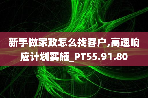 新手做家政怎么找客户,高速响应计划实施_PT55.91.80