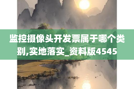 监控摄像头开发票属于哪个类别,实地落实_资料版4545