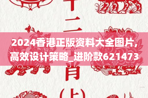 2024香港正版资料大全图片,高效设计策略_进阶款621473