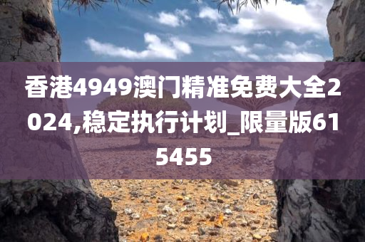 香港4949澳门精准免费大全2024,稳定执行计划_限量版615455