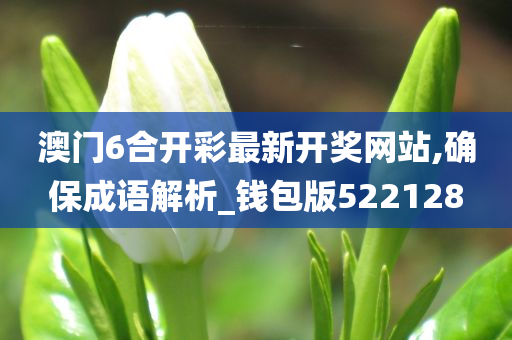 澳门6合开彩最新开奖网站,确保成语解析_钱包版522128