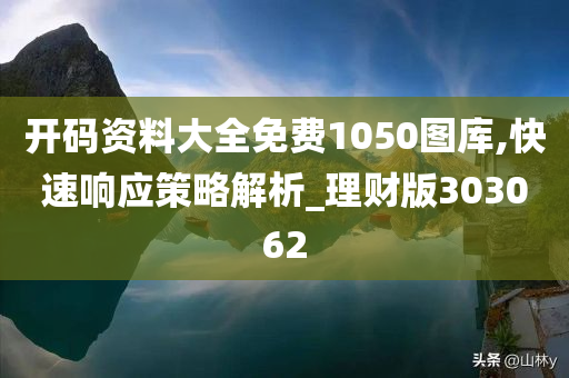 开码资料大全免费1050图库,快速响应策略解析_理财版303062