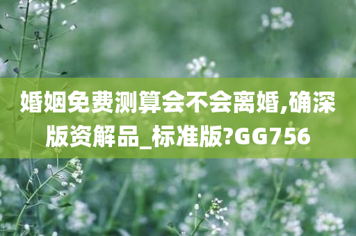 婚姻免费测算会不会离婚,确深版资解品_标准版?GG756