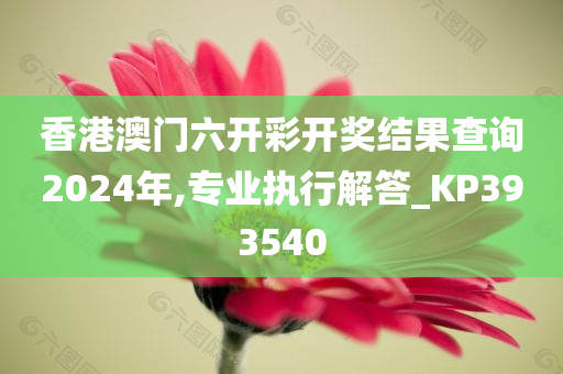 香港澳门六开彩开奖结果查询2024年,专业执行解答_KP393540