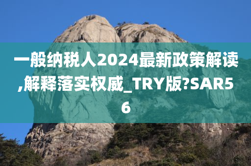 一般纳税人2024最新政策解读,解释落实权威_TRY版?SAR56