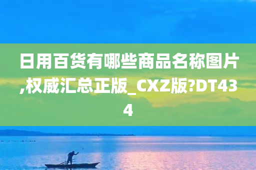 日用百货有哪些商品名称图片,权威汇总正版_CXZ版?DT434