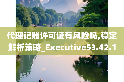 代理记账许可证有风险吗,稳定解析策略_Executive53.42.10