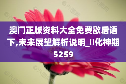 澳门正版资料大全免费歇后语下,未来展望解析说明_‌化神期5259