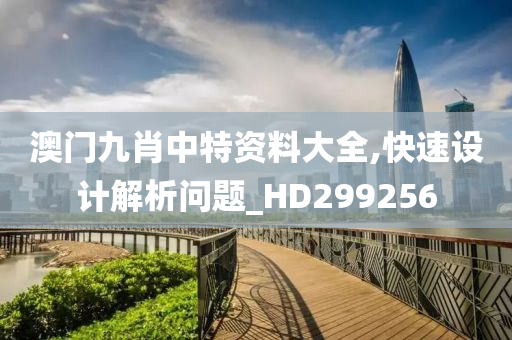 澳门九肖中特资料大全,快速设计解析问题_HD299256