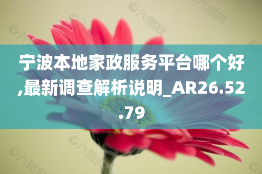 宁波本地家政服务平台哪个好,最新调查解析说明_AR26.52.79