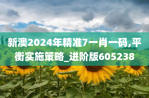 新澳2024年精准7一肖一码,平衡实施策略_进阶版605238