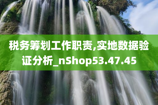 税务筹划工作职责,实地数据验证分析_nShop53.47.45