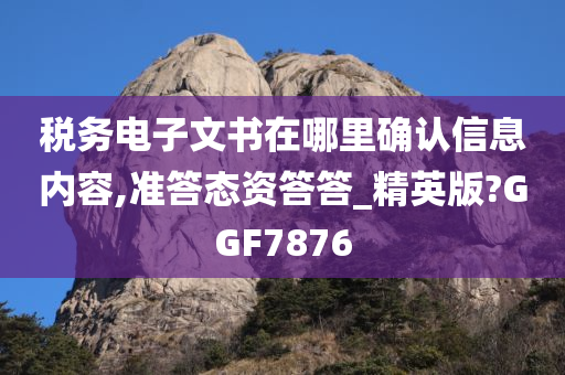 税务电子文书在哪里确认信息内容,准答态资答答_精英版?GGF7876