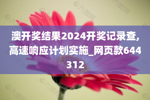 澳开奖结果2024开奖记录查,高速响应计划实施_网页款644312