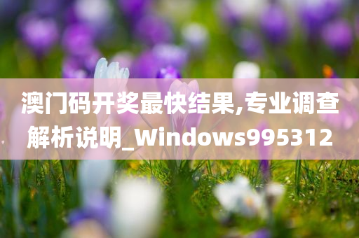 澳门码开奖最快结果,专业调查解析说明_Windows995312