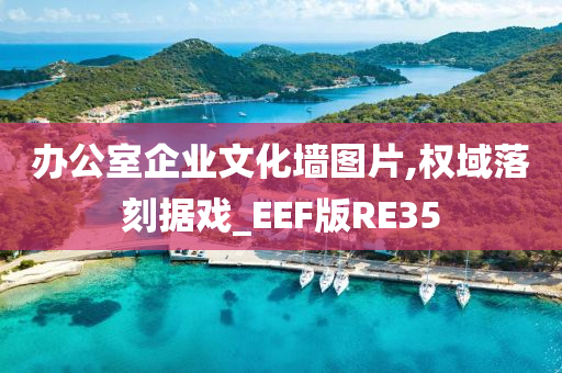 办公室企业文化墙图片,权域落刻据戏_EEF版RE35