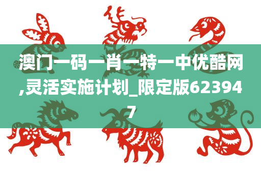 澳门一码一肖一特一中优酷网,灵活实施计划_限定版623947